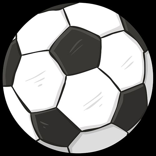 专栏丨小马驹别害怕！