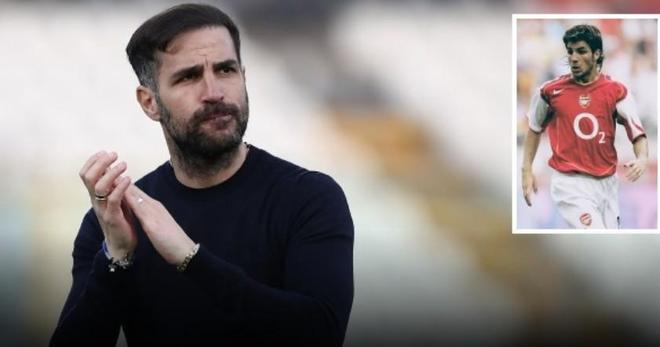 米体:国米曾三次追求法布雷加斯,两次球员时代一次教练时代